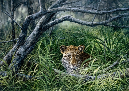 Leopard Cub concealed - 1992 Johan Hoekstra Wildlife Art (A3 Signed Print)