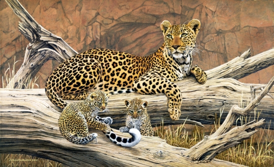 Leopard and Cubs - 2012 - Johan Hoekstra Wildlife Art - Available Print