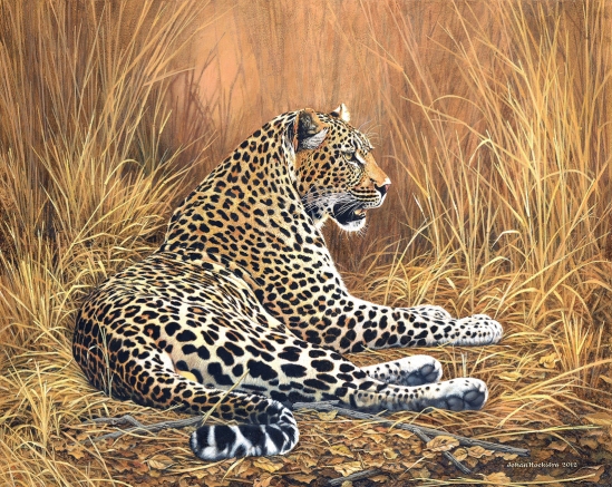 Male Leopard - 2012 Johan Hoekstra Wildlife Art - Available Print
